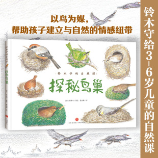 探秘鸟巢 精装绘本 铃木守给3-6岁儿童的自然课儿童科普 探秘35种鸟类巢穴开启自然科学启蒙之旅大自然绘本 天地社