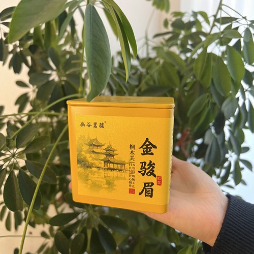 武夷山桐木关·金骏眉一两罐装