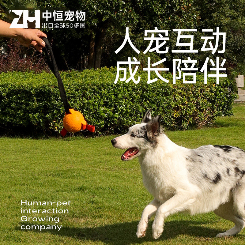 中恒狗狗玩具球橡胶球