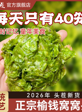 2026榆钱窝窝头新鲜菜馒头