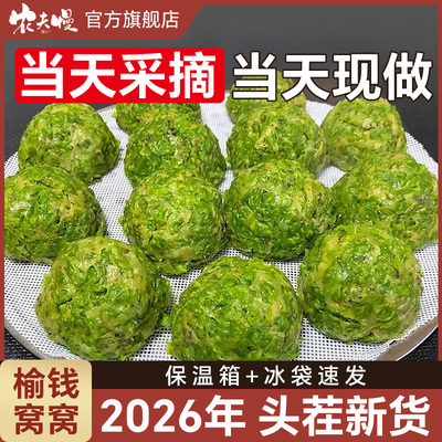 2026榆钱窝窝头新鲜菜团子