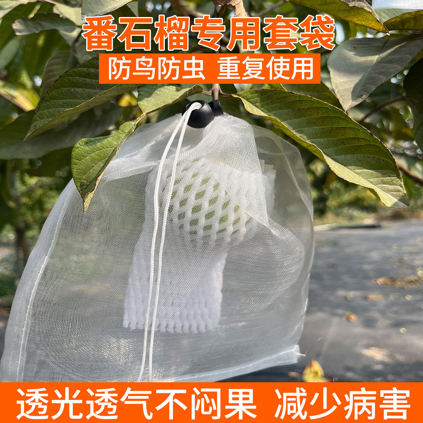 番石榴专用套袋水果尼龙网袋保护袋芭乐防果蝇防虫防鸟神器袋子