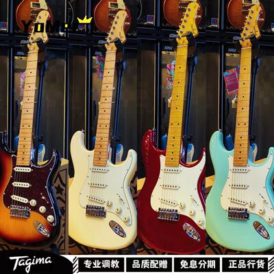 TG530TG530proT635电吉他