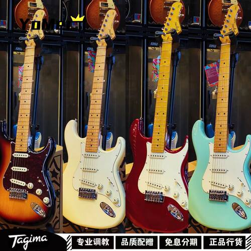 TG530TG530proT635电吉他