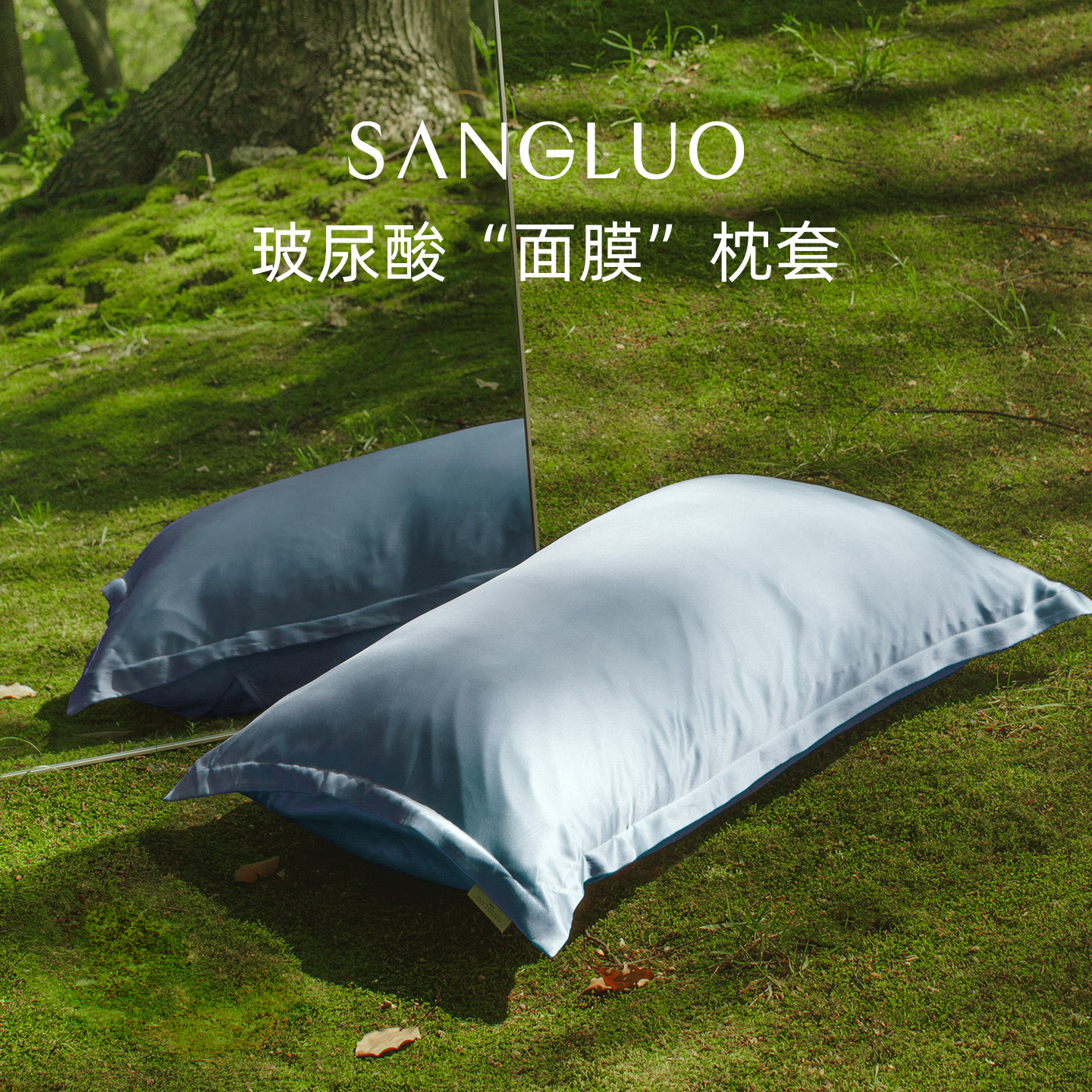 柔润玻尿酸』桑罗SANGLUO真丝枕套凉感双面100%桑蚕丝枕头套礼物