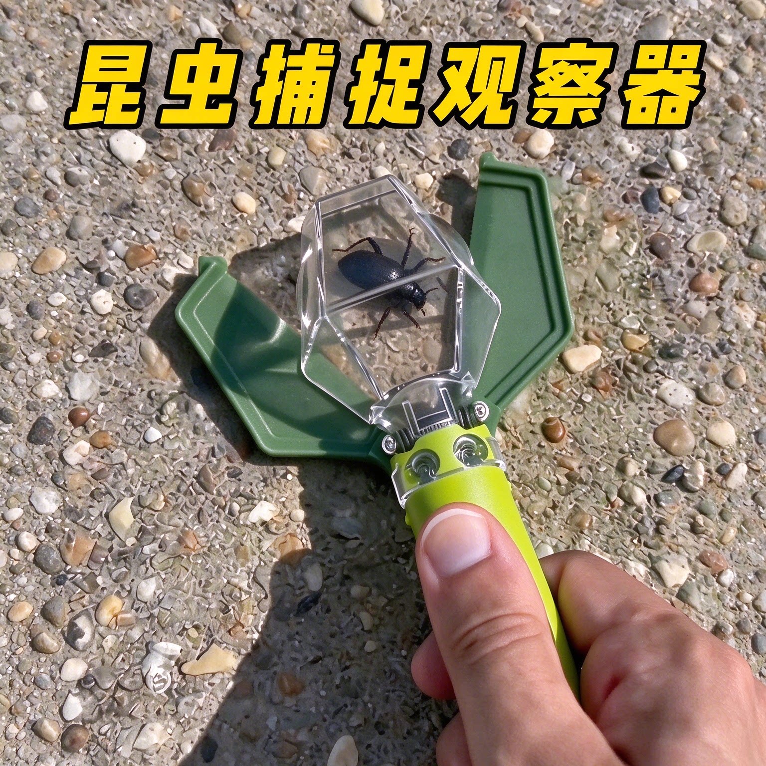 儿童手持昆虫观察捕捉器