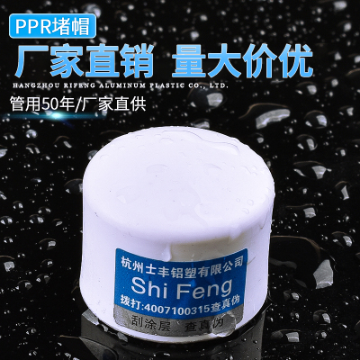 PPR水管配件家装专用PPR堵帽