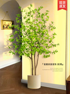 挂钟树人造绿色植物无障碍豪华假植物室内彷生盆栽客厅装饰品马醉
