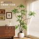 仿真绿植室内十大功劳假植物落地盆栽侘寂风高级仿生植物装 饰摆件