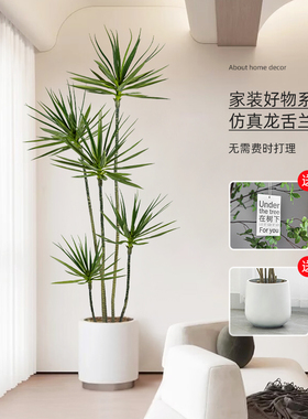 森泰家居高端仿真绿植轻奢