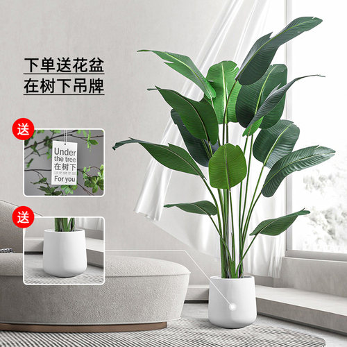 森泰仿生绿植客厅装饰旅人蕉仿真