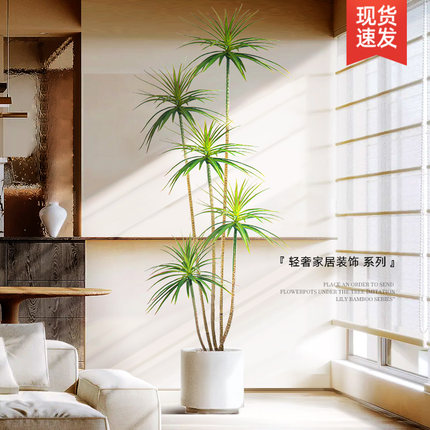 仿真植物龙血树落地摆件客厅仿生大盆栽装饰高端轻奢奶油风假绿植