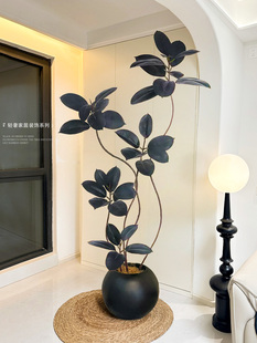 黑色金刚橡胶树模拟绿色植物室内客厅大盆栽经典易接近豪华彷生人