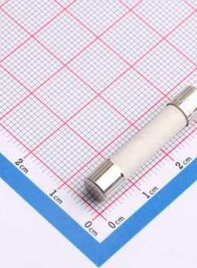 0314006.MXP 一次性保险丝 250V