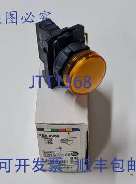 原装 供应件 XB5AV65 指示灯橙色 250V