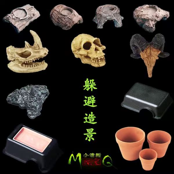 爬虫爬宠躲避洞穴椰子壳蜈蚣蝎子蜘蛛陆龟蜈蚣蜥蜴豹纹守宫加湿窝在类目 宠物/宠物食品及用品, 爬虫/鸣虫及其用品, 爬虫/鸣虫用具中 - 来自Buy2taobao.com提供专业的淘宝代购服务