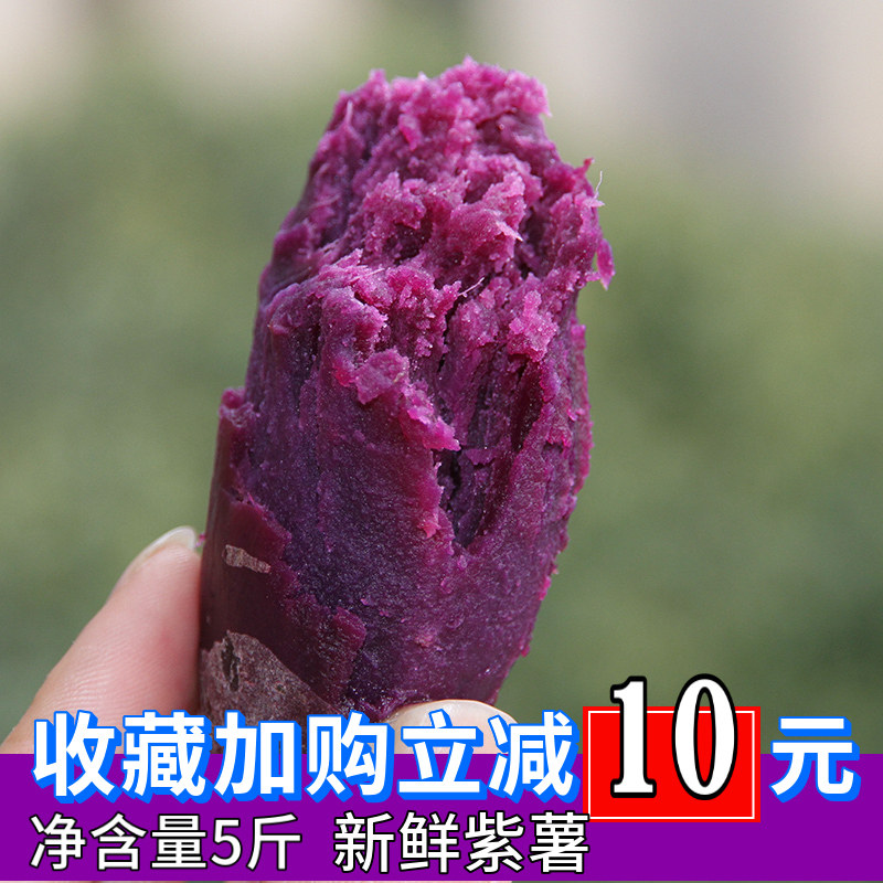 现挖紫罗兰紫薯新鲜小个头紫心农家自种广西广东番薯地瓜越南红薯