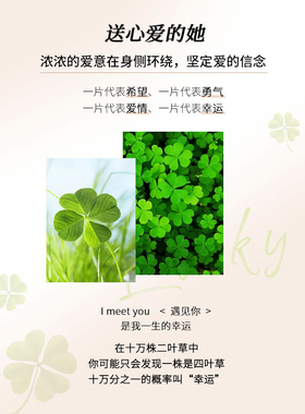 纯银四叶草手炼女士轻奢小众精致手炼2025新的中国情人节礼物给女