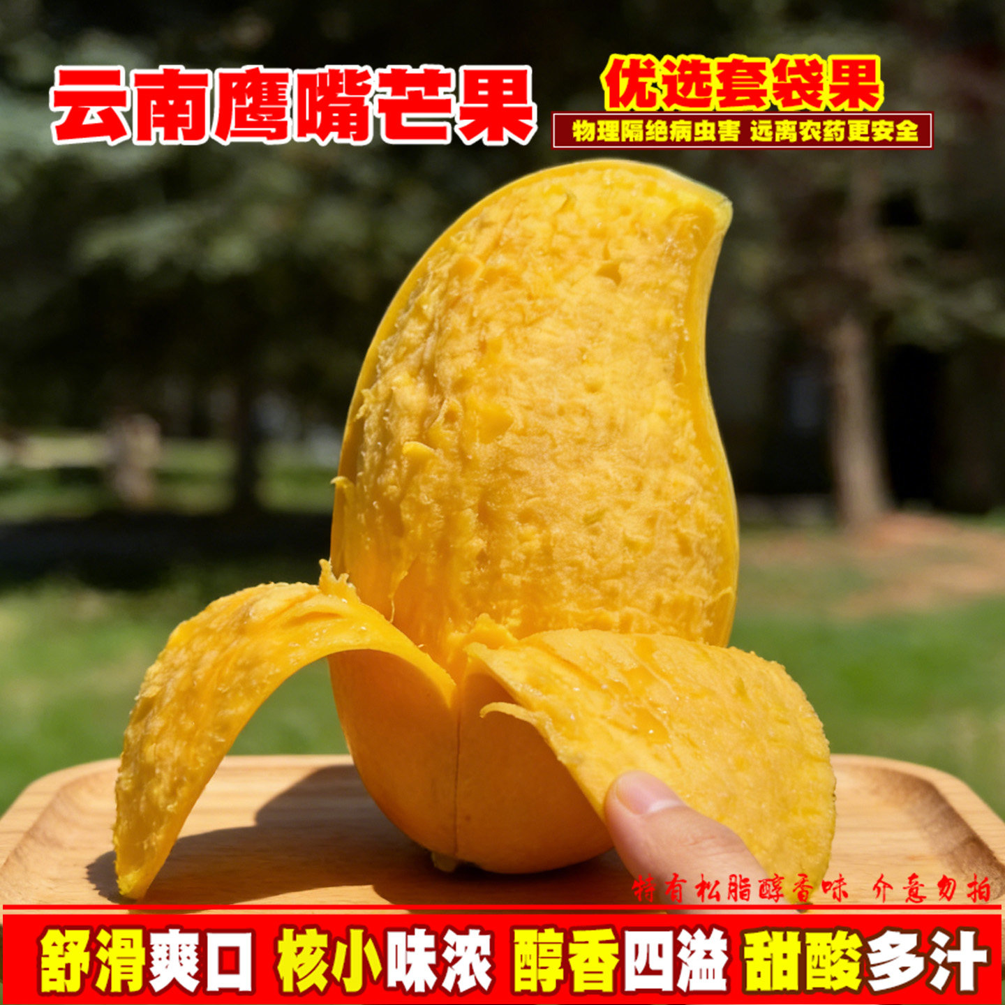 云南鹰嘴芒黄皮芒果套袋甜心新鲜热带水果套袋生态果3-8斤包邮