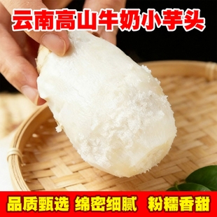 云南毛芋头牛奶芋头新鲜现挖现发小香芋软糯香甜奶白色细腻多肉