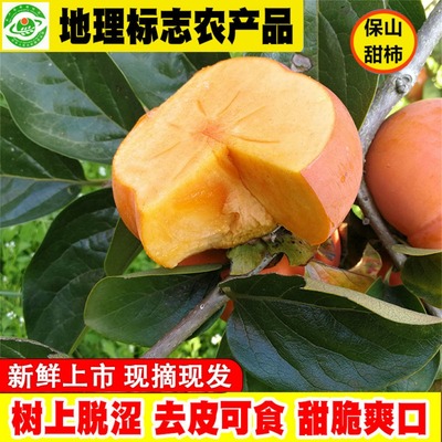 保山甜柿云南脆柿去皮柿子