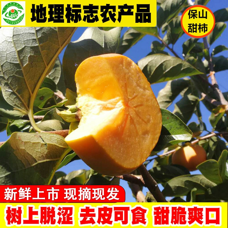 保山甜柿脆柿滇老头苹果硬柿子
