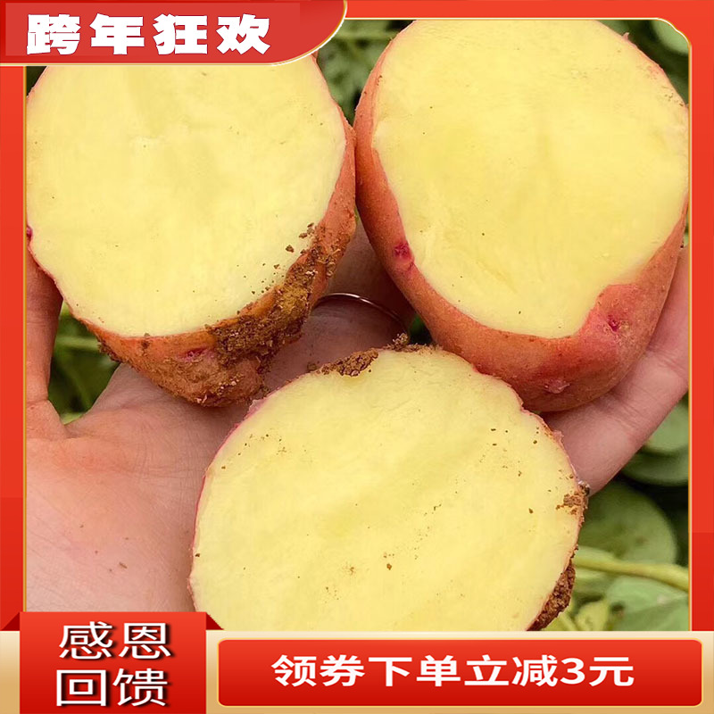 fresh Redskins Yellow Heart Potato Alpine Sand Potato Potato 3-9 Jin[selected medium , please egg Sizein the Aquatic meat/Fresh fruits and vegetables/Cooked , Fresh vegetables/Vegetable products , Fresh vegetables , Potato  category - from Buy2taobao.com to provide professional Taobao agent buy service