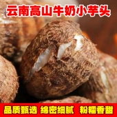 云南牛奶芋头毛芋头奶新鲜现挖先发小香芋软糯香甜奶白色细腻多肉