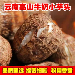 云南牛奶芋头毛芋头奶新鲜现挖先发小香芋软糯香甜奶白色细腻多肉