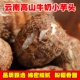云南牛奶芋头毛芋头奶新鲜现挖先发小香芋软糯香甜奶白色细腻多肉