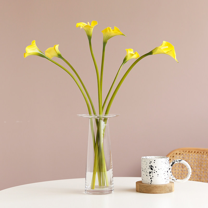 海芋马蹄莲价格 海芋马蹄莲图片 星期三