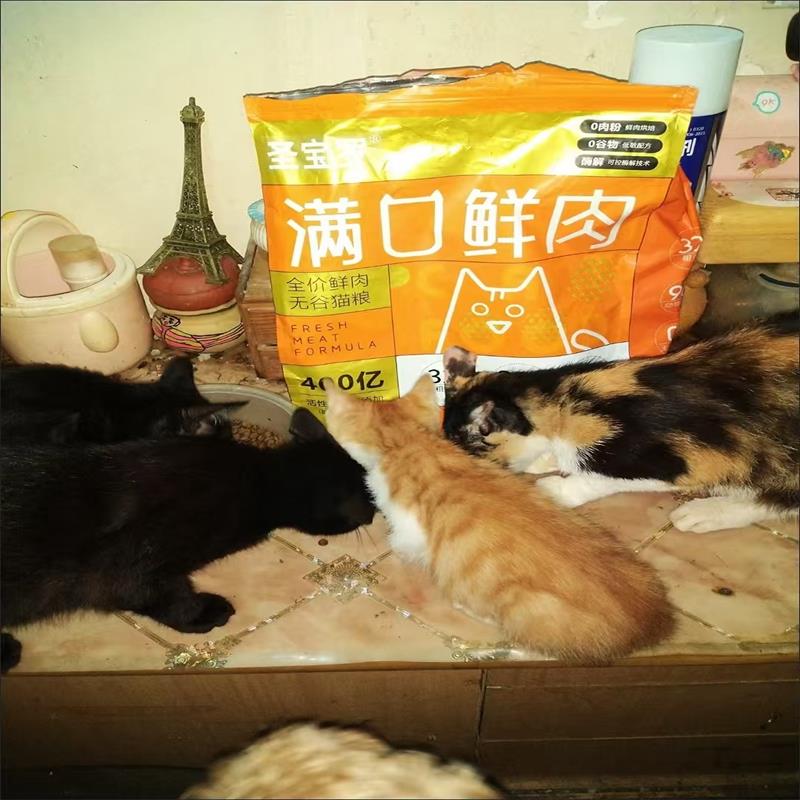 圣保罗冻干猫粮增肥发腮幼猫成猫全阶段通用型营养猫主粮5斤10斤图片