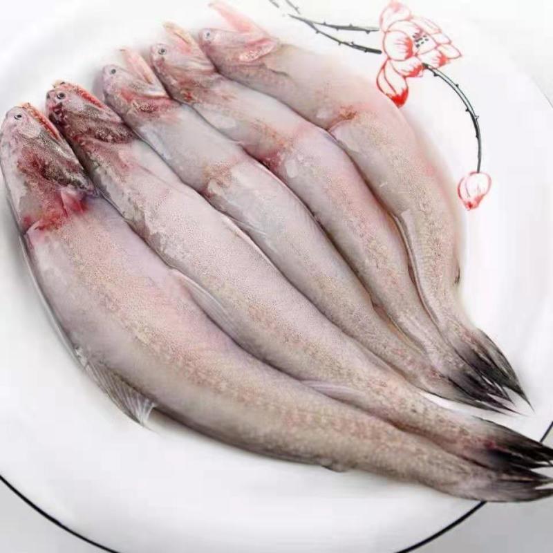 豆腐鱼/龙头鱼--顺丰压冰发货包鲜不包活