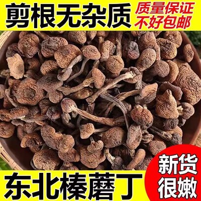 东北特产野生榛蘑丁干货500g小鸡炖蘑菇长白山香菇头无根菌菇新货