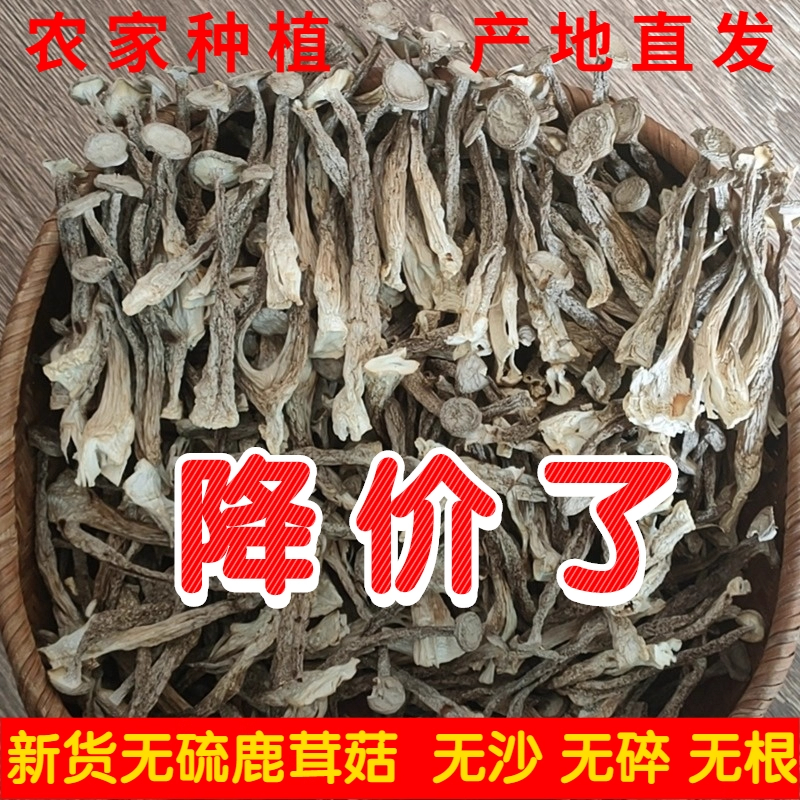 鹿茸菇干货500g包邮鹿茸姑菌特级鹿茸菇煲汤云南脆姑菌菇类蘑香菇