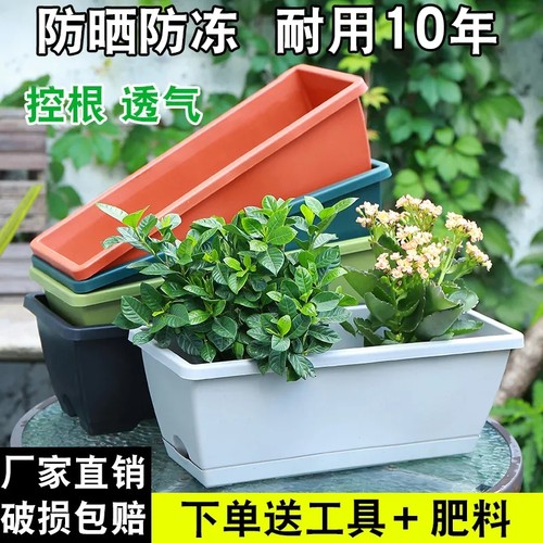 新款草莓盆阳台种菜盆种菜神器