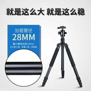 曼比利AZ-611单反相机三脚架稳定佳能尼康大管径铝合金手机三角架