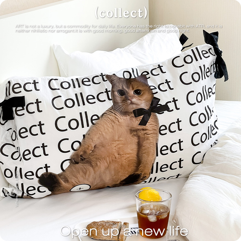 艺术收藏夹100s纯棉韩系全棉枕套