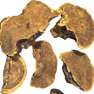 野生灵芝】_纯天然野生灵芝品牌\/图片\/价格