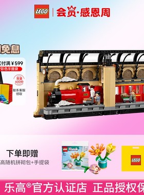 LEGO乐高76450特快列车装饰男女益智拼搭积木模型玩具收藏品礼物