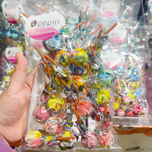 日本表参道pepin巧克力棒棒糖