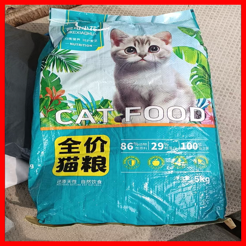 尼可小花猫猫12变胖增肥