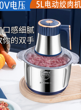 110V绞肉机家用电动碎肉蒜泥和面