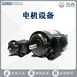 德国 GeorgiiKobold 三相异步电机 KOD 7610-B/689-A