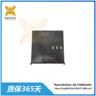 3636R 安全通信模块