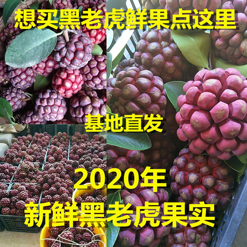 黑老虎鲜果布福娜果实血藤果2020年新鲜水果冷饭团5斤包邮1斤2斤