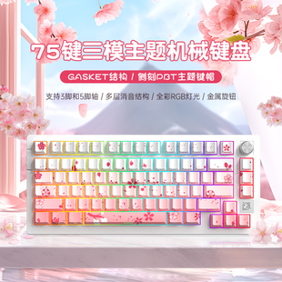 N75客制化无线三模机械键盘蓝牙办公游戏电竞专用RGB二次元 侧刻