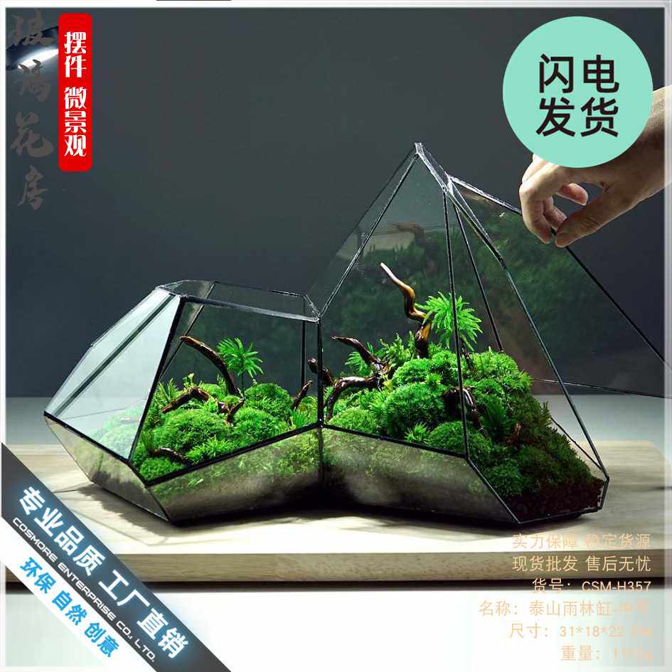 微景观苔藓雨林缸几何森林墙玻璃花房不规则生态瓶多肉水草缸花盆