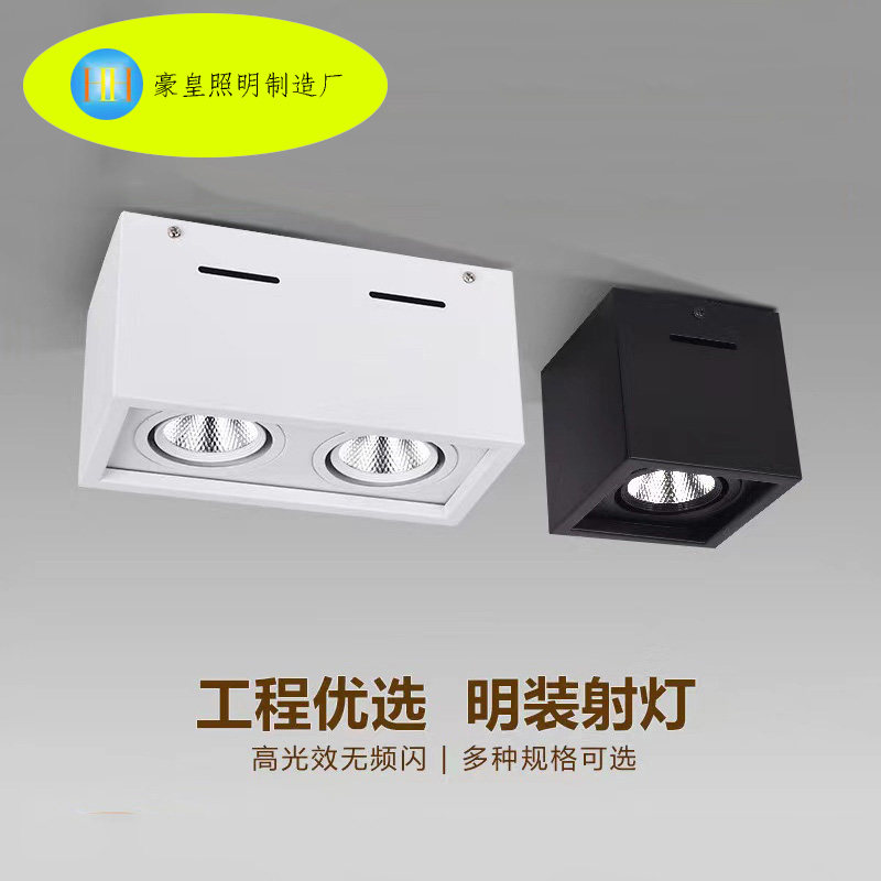 明装LED无主灯单头双头格栅灯客厅过道方形吸顶灯全光谱护眼,家装灯饰光源,斗胆灯,淘宝优惠券,粉丝福利购,淘宝优惠卷