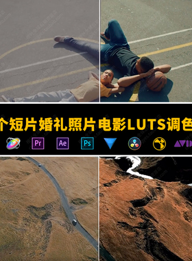 222款短片电影LUTS调色预设CUBE格式PR/AE/PS/FCPX/剪映/达芬奇